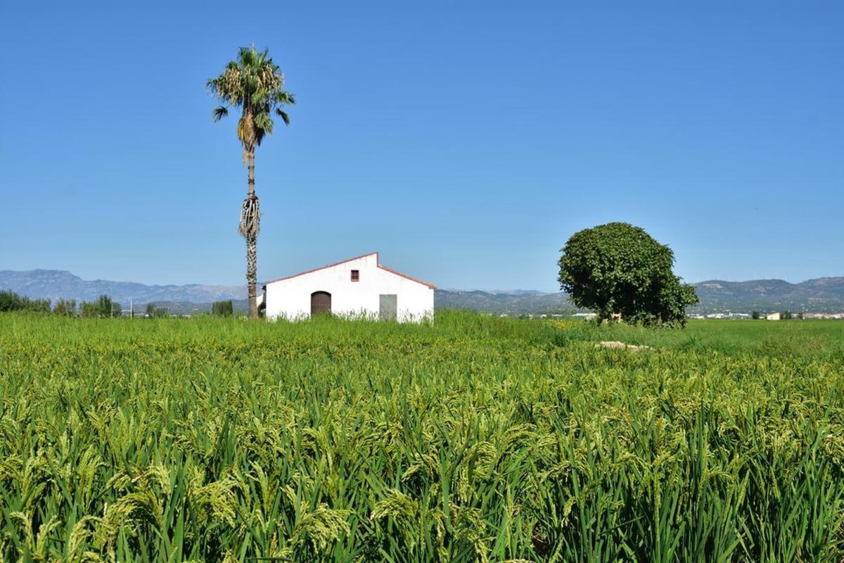 Apartamento Delta Del Ebro Amposta Exterior foto